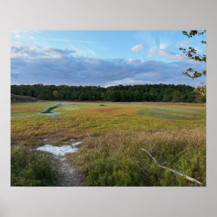 Póster Poster fotográfico de campo de otoño
