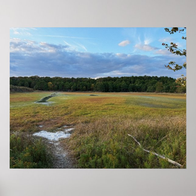 Póster Poster fotográfico de campo de otoño (Frente)