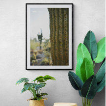 Poster fotográfico de Desert Cactus