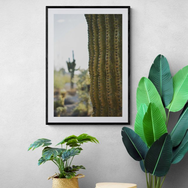Póster Poster fotográfico de Desert Cactus (Subido por el creador)
