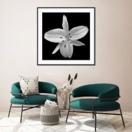 Póster Poster fotográfico de flores blancas y negras