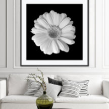 Poster fotográfico de flores blancas y negras