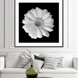 Póster Poster fotográfico de flores blancas y negras