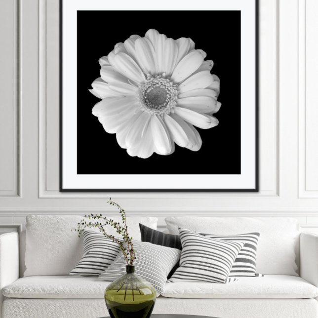 Póster Poster fotográfico de flores blancas y negras (Subido por el creador)