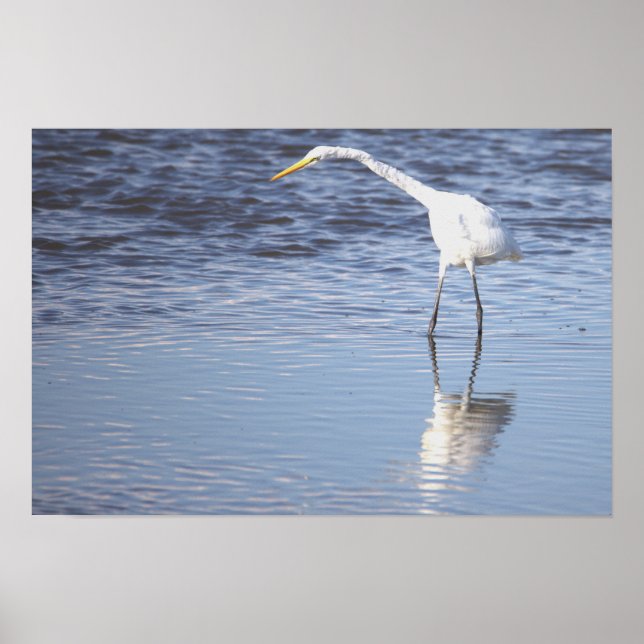 Póster Poster fotográfico de Heron (Frente)