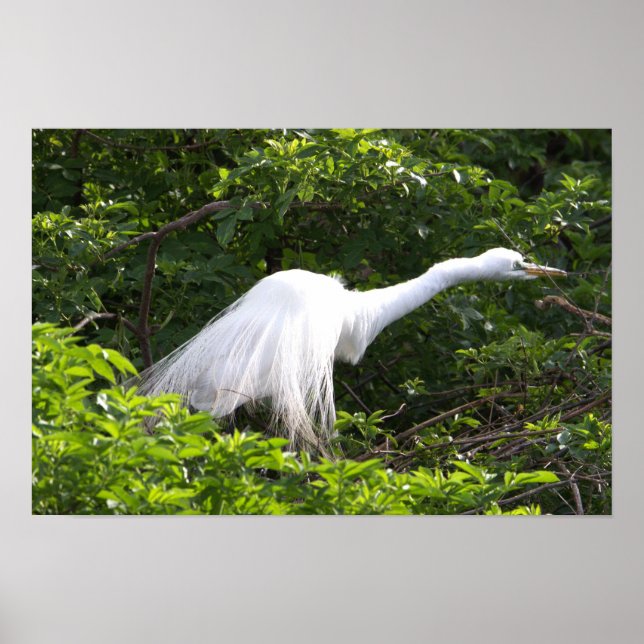 Póster Poster fotográfico de Heron (Frente)