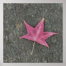 Póster Poster fotográfico de la hoja roja