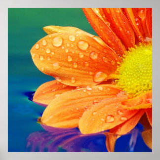Póster Poster fotográfico de las gotas de lluvia naranja