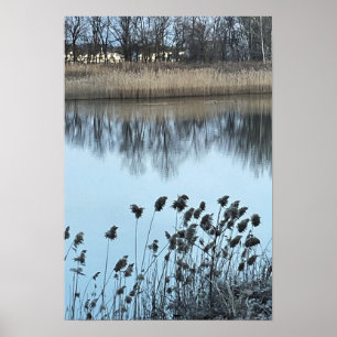 Póster Poster fotográfico de paisaje acuático