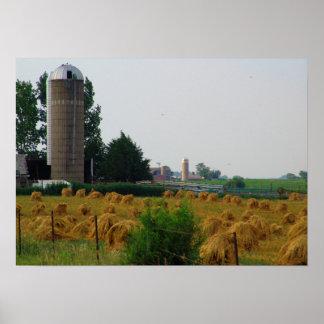Póster Poster fotográfico de paisaje agrícola