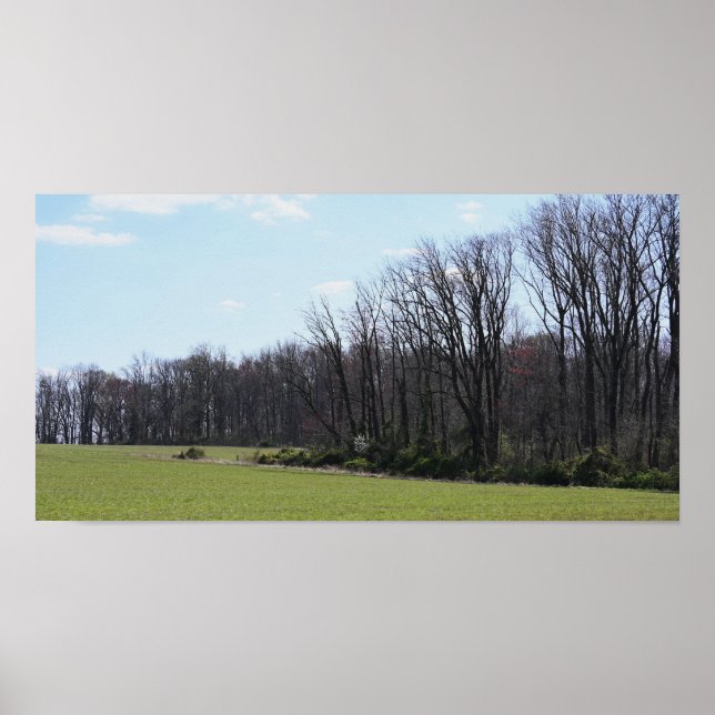 Póster Poster fotográfico de paisajes (Frente)
