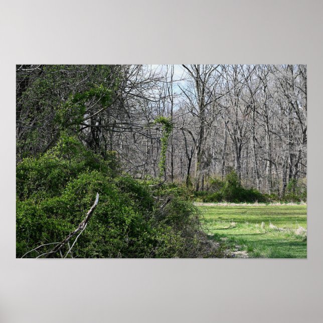 Póster Poster fotográfico de paisajes (Frente)