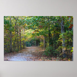 Póster Poster fotográfico de Park Path