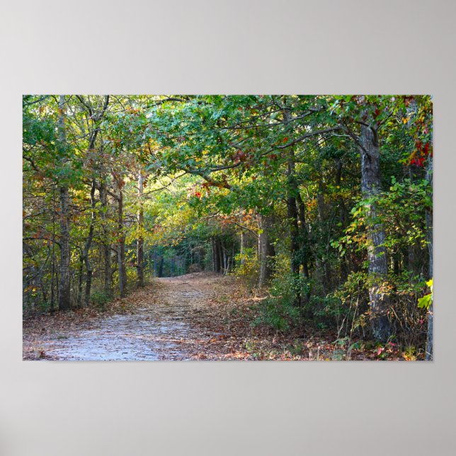 Póster Poster fotográfico de Park Path (Frente)