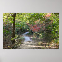 Poster fotográfico de Park Path