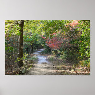 Póster Poster fotográfico de Park Path