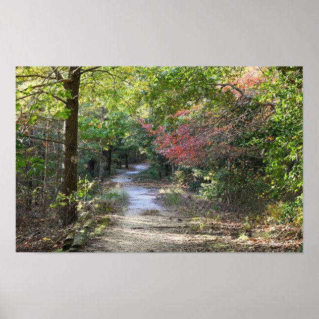 Póster Poster fotográfico de Park Path (Frente)