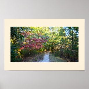 Póster Poster fotográfico de Park Path