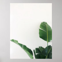 Poster fotográfico de plantas tropicales de pájaro