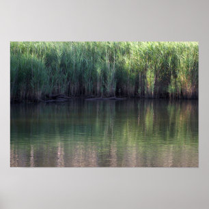Póster Poster fotográfico de Pond Waterscape