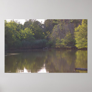 Póster Poster fotográfico de reflexión de árbol Waterscap