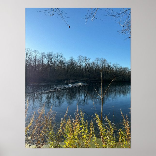 Póster Poster fotográfico de reflexiones de árbol (Frente)