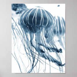 Póster Poster FOTOGRÁFICO DE SEA JELLYFISH