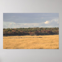 Poster fotográfico del paisaje de los refugiados