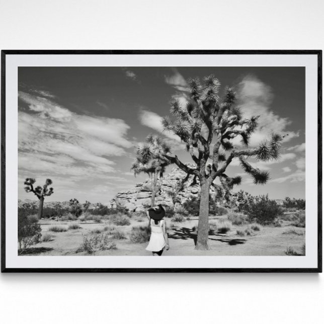 Póster Poster fotográfico del Parque Nacional del Árbol J (Subido por el creador)