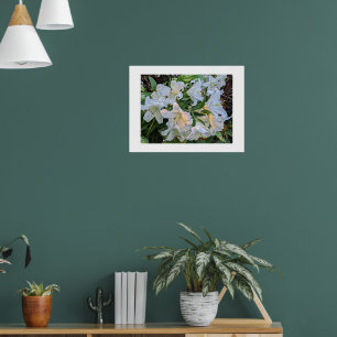 Póster Poster fotográfico Floral de Lily Blanca Blooms