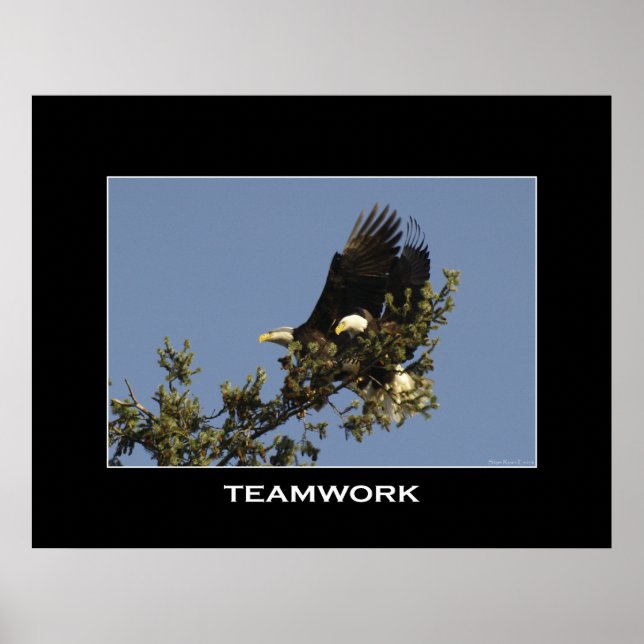 Póster POSTER fotográfico motivacional de TEAMWORK (Frente)