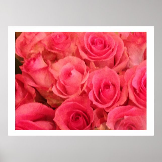 Póster Poster fotográfico Rosa (Frente)