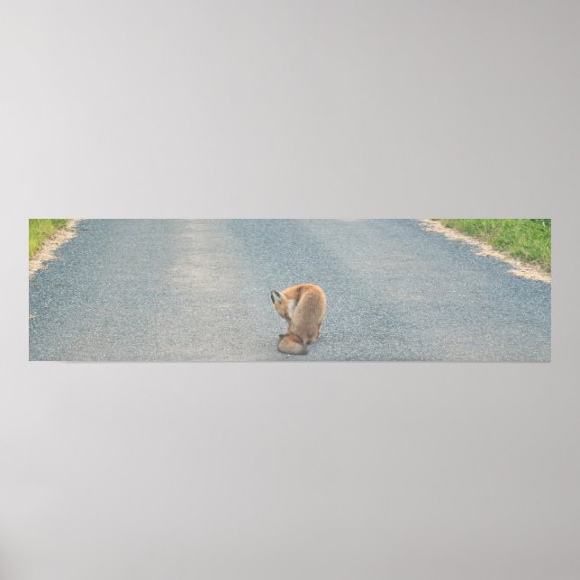 Póster Poster Fox Photo (Frente)