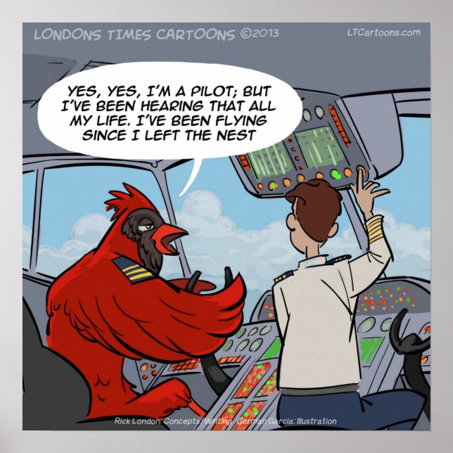 Póster Poster Funny del Capitán Cardenal Piloto Moscas Je (Frente)