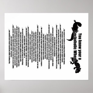 Póster Poster Geckoholic