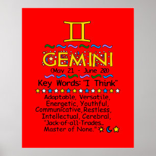 Póster Poster GEMINI