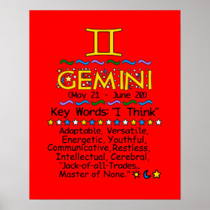 Póster Poster GEMINI