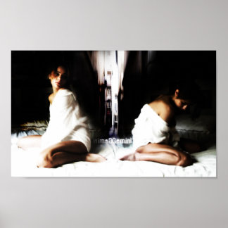 Póster Poster Gemini