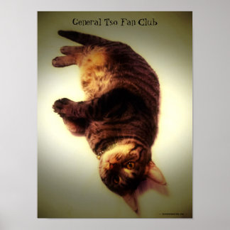Póster Poster - General Tso Fan Club