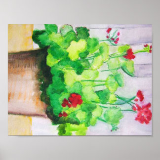 Póster Poster - Geranios En Agosto