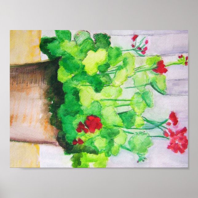 Póster Poster - Geranios En Agosto (Frente)