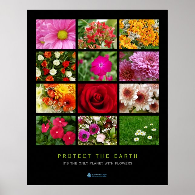 Póster Poster gigante de Flores Collage (Frente)