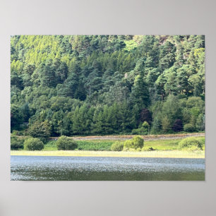 Póster Poster Glendalaugh Lakes County Wicklow Irlanda Eu