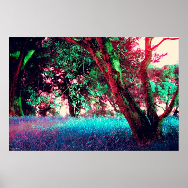 Póster Poster Golden Hour - Tamaño grande (34" x 22") (Frente)