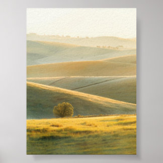 Póster Poster Golden Sunrise Over Rolling Hills