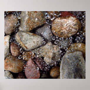 Póster Poster - gotas de lluvia en spiderweb sobre rocas