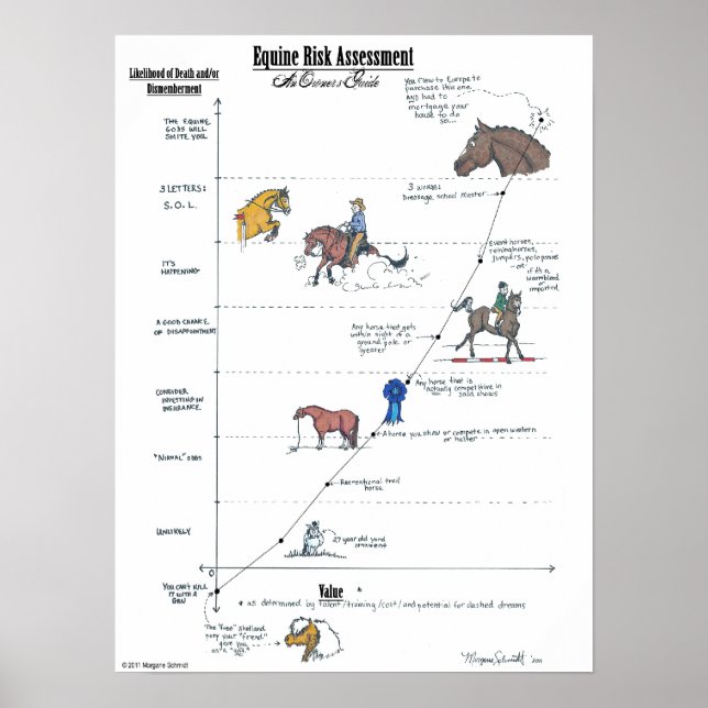 Póster Poster GRANDE DE LA Evaluación del Riesgo Equino (Frente)