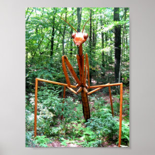 Póster Poster grande de la mantis religiosa