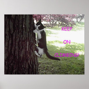 Póster Poster grande del árbol del pequeño gatito