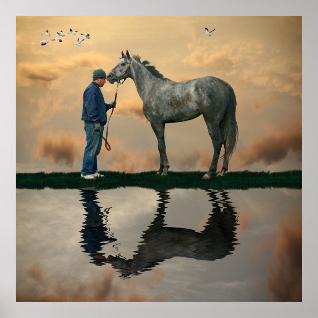 Póster Poster Gray Horse And Groom OTTB (Frente)